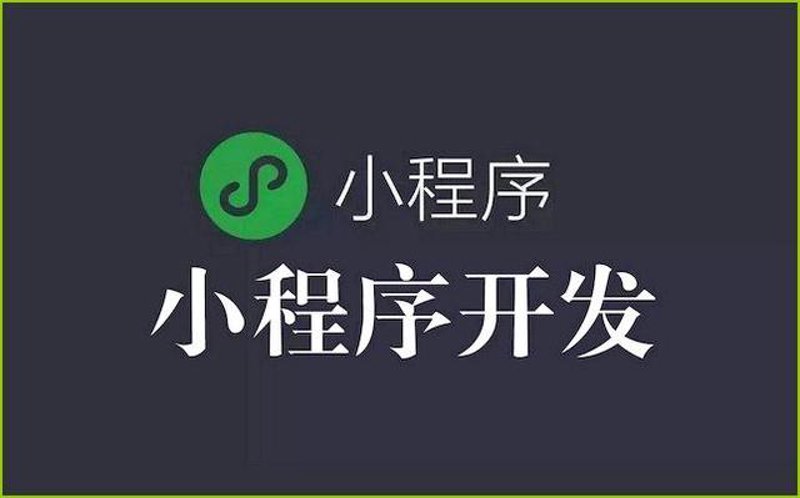 软件开发公司：行业新风向标